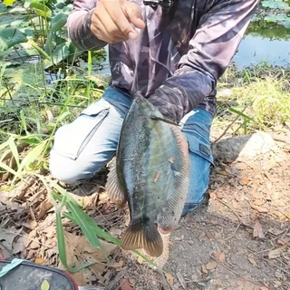 ตัวเบ็ดตกปลาซิว ตกปลาสร้อย ตกปลาสลิด และปลาขนาดเล็ก