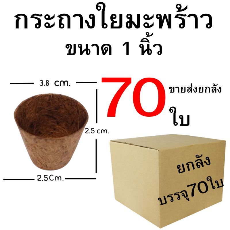 กระถางใยมะพร้าวขนาด 1 นิ้ว ปลีกส่ง 1-70 ใบ