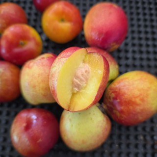 ลูกพีชไร้ขน (พีชเนคทารีน)ลูกเล็ก กรอบ รสเปรี้ยวอมหวาน  เก็บส…