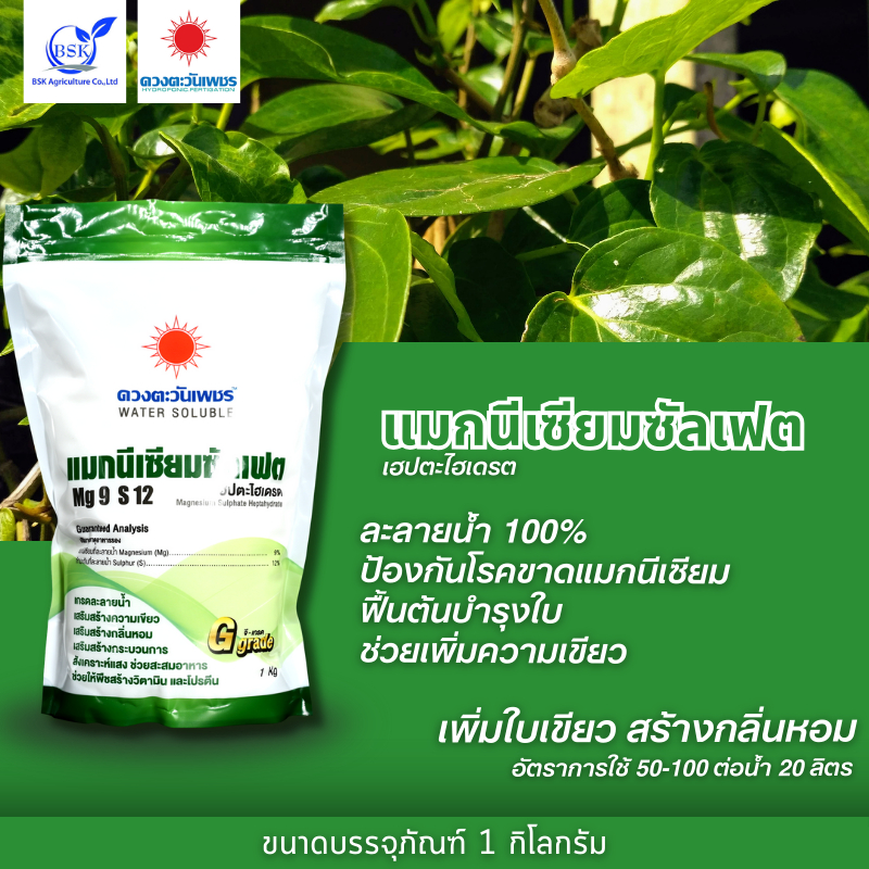 ปุ๋ยเกล็ด แมกนีเซียมซัลเฟต Mgs04 (แบรนด์) ขนาด 1kg (ดวงตะวันเพชร)