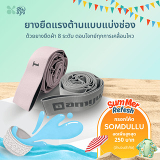 Somdul ยางยืดออกกำลังกาย แบบแบ่งช่อง (Multi-Loop Resistance …