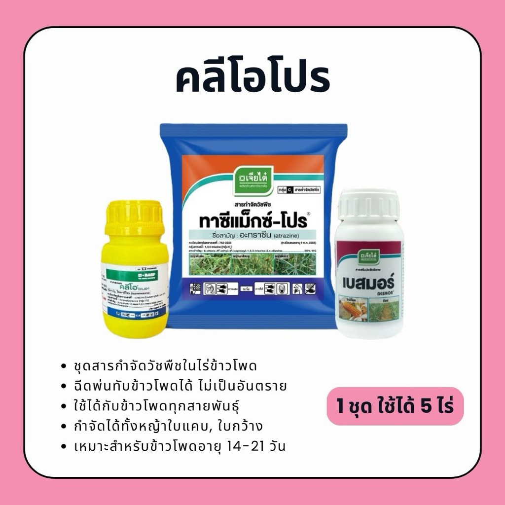 คลีโอโปร - สารกำจัดวัชพืชในไร่อ้อย ข้าวโพด ฉีดข้าวโพดทับได้ทุกสายพันธุ์ ปลอดภัย (1 ชุดได้ 6 ไร่)