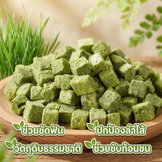 PETBABYS หญ้าแมวฟรีซดราย ขนมแมว 640กรัม อกไก่ผสมต้นอ่อนข้าวสาลีฟรีซดราย ลดการสำลักขน โปรตีนสูง