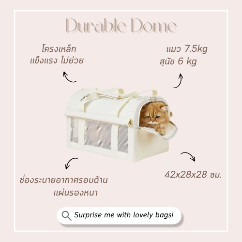 petcare 🇰🇷 กระเป๋าเเมว กระเป๋าสัตว์ กระเป๋าหมา โครงเหล็ก  สไตล์เกาหลี สําหรับสัตว์เลี้ยง สุนัข แมว รูปที่ 8