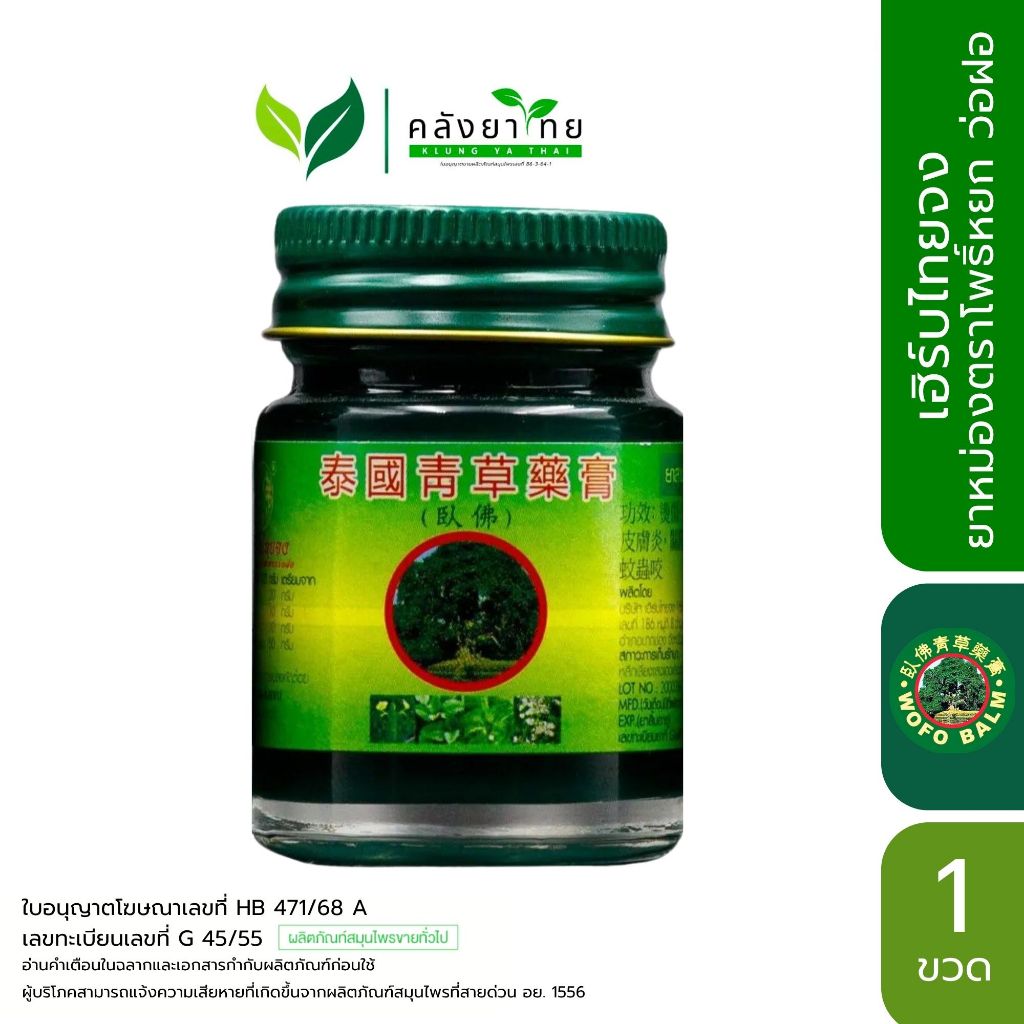 [ขวด] Wofo ยาหม่องสมุนไพรไทย เฮิร์บไทยจง ยาหม่องตราโพธิ์หยก ว่อฝอ ขนาด 20/50 กรัม