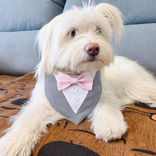 สูทหมา สูทแมว Dog Tuxedo เสื้อกั๊ก แขนกุด ติดโบว์ ผ้าหรู ลุคคุณชาย ชุดออกงาน งานแต่ง วันเกิด หมาเล็ก แมวใส่ได้