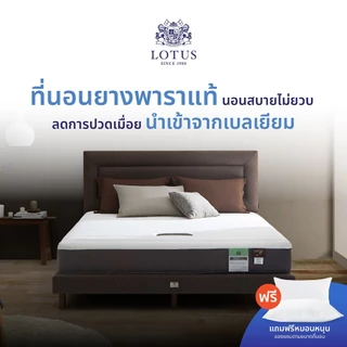 LOTUS ที่นอนยางพาราแท้ นอนสบายไม่ยวบ ลดการปวดเมื่อย นำเข้าจากเบลเยี่ยม รุ่น Intel