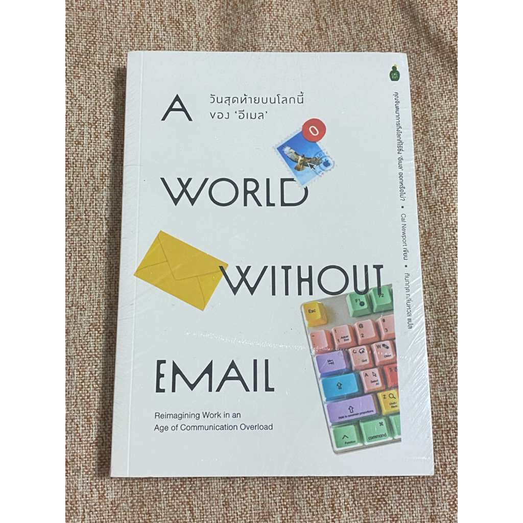 A WORLD WITHOUT EMAIL  (A35)