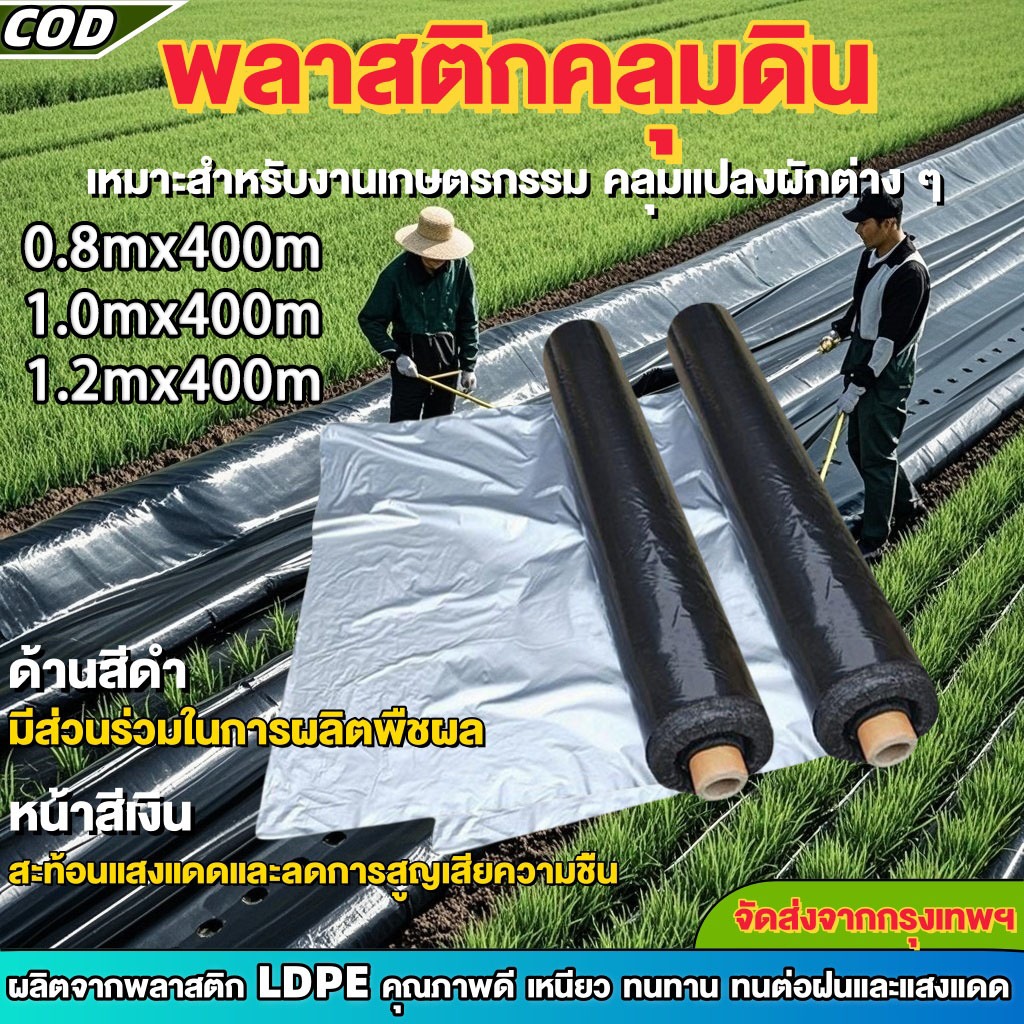 （COD）พลาสติกคลุมดินสีดำเงิน ขนาด 0.8/1.0/1.2mx400m เมตร ทนทาน ป้องกันวัชพืช