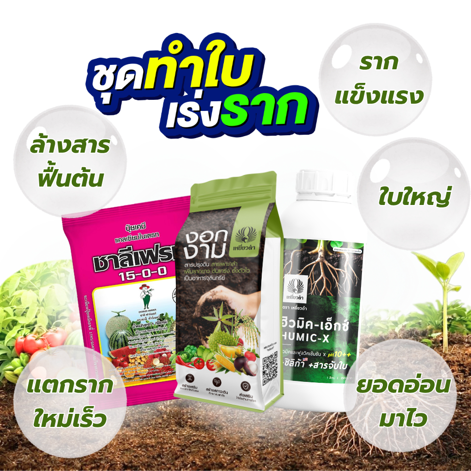 ปุ๋ยเกล็ดไนเตรท 15-0-0 ฮิวมิคเสริมระบบราก ฟื้นต้นโทรม ล้างสาร ทำใบใหม่ ในไม้ผล ทุเรียน ลำไย มะม่วง แนนซี่ ปุ๋ยเหยี่ยวดำ