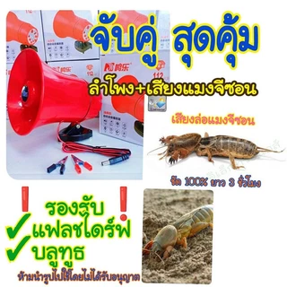 CA-130U ชุดเสียงล่อแมงจีซอน ลำโพงฮอร์น USB เสียบปลั๊กไฟบ้าน เสียงเรียกจีซอน