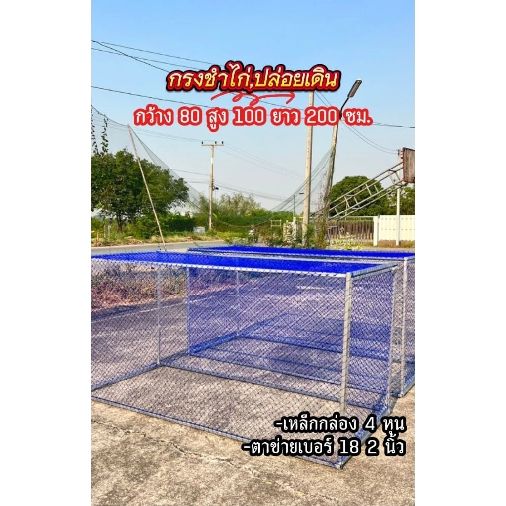 (สินค้าเหล็กกล่อง)กรงชำไก่ชน,ปล่อยเดินได้ 80 * 100 * 200 cm thumbnail 7
