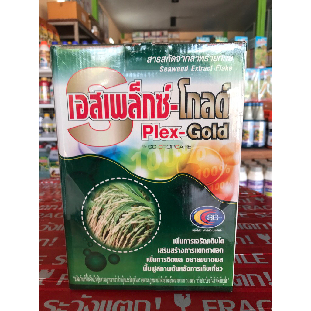 เอสเพล็กซ์-โกลด์ Ples-Gold