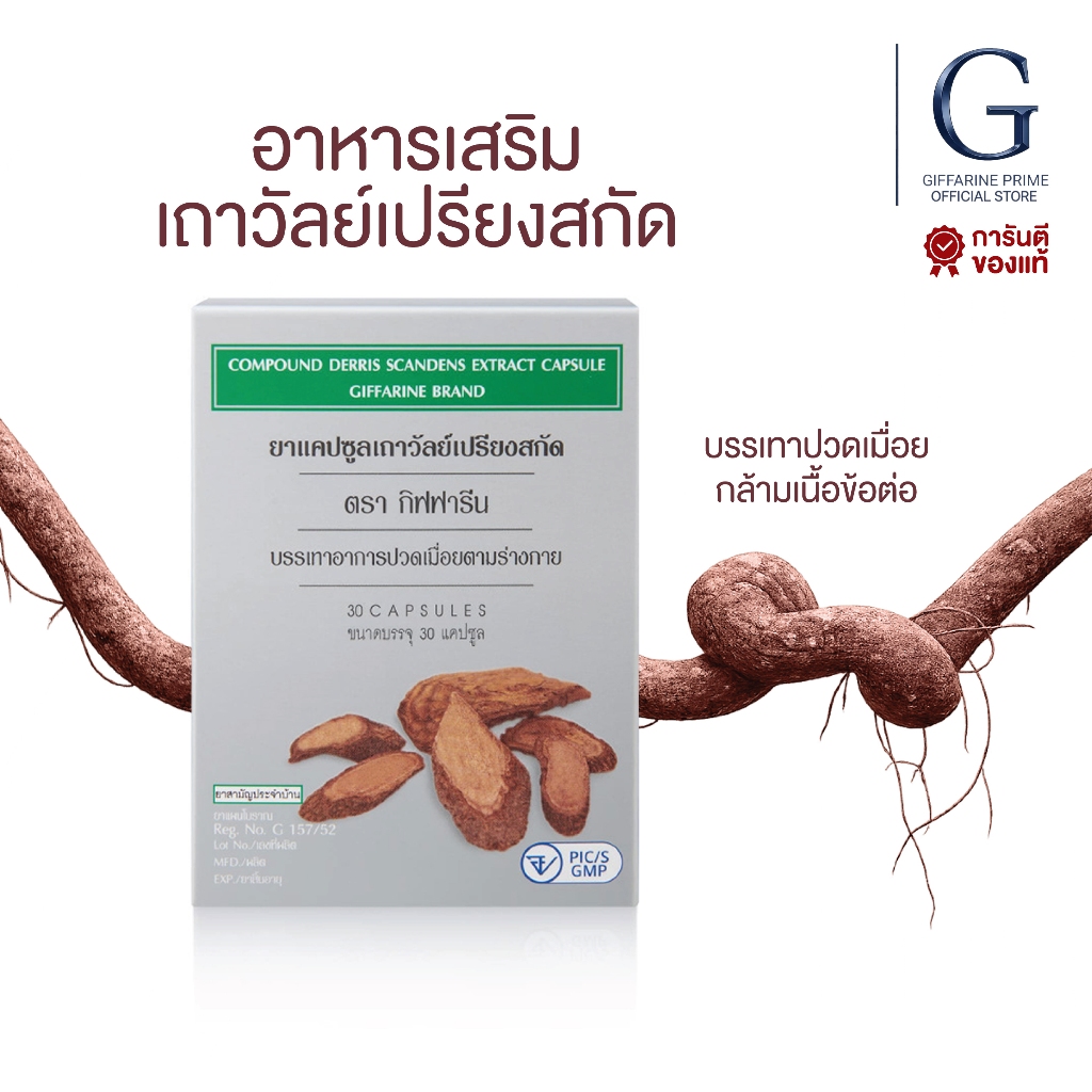 เถาวัลย์เปรียงสกัดกิฟฟารีน ยาแผนโบราณ บรรเทาอาการปวดเมื่อย กล้ามเนื้อ Thao Wan Pliang Extract