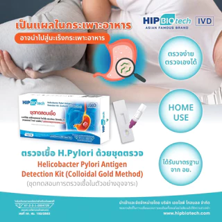 HIP Biotech ชุดตรวจ H.pylori เฮชไพโลไร ความเสี่ยงมะเร็งกระเพาะอาหาร โดยตรวจหาแอนติเจน ในอุจจาระ