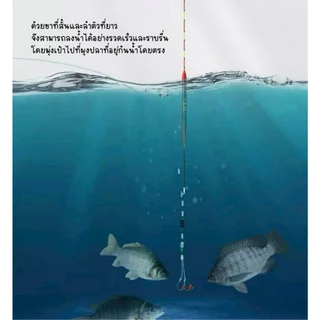 ทุ่นลอยน้ำตกปลา ทุ่น ทุ่นตกปลา ทุ่นลอยน้ำ ทุ่นตราเสือ ทุ่นชิงหลิว ไม้บัลซ่า ส่งจากไทย