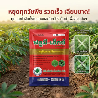10ซอง ฟลูมี-เอ็กซ์(ต้นไม้) คุมหญ้าในสวนมันสัปปะหลัง ไร่อ้อยไร่ข้าวโพด คุมได้ทั้งดินเปียกและดินแห้ง ขนาด 100 กรัม