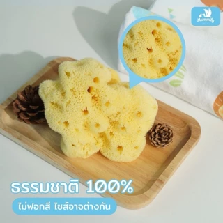 Mummily ฟองน้ำ SILK FINE ฟองน้ำธรรมชาติแท้100% ฟองน้ำอาบน้ำเด็ก