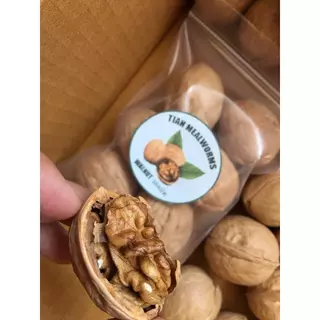 [ZC] Walnut วอลนัท 6 ลูก/ห่อ อาหารเสริมสำหรับสัตว์เลี้ยงฟันแทะ ถั่วลับฟันสัตว์เลี้ยงฟันแทะ