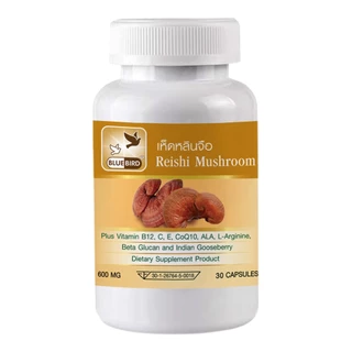 เห็ดหลินจือ Reishi Mushroom ตรา บลูเบิร์ด ขนาด 600 มิลลิกรัม 30,60 แคปซูล