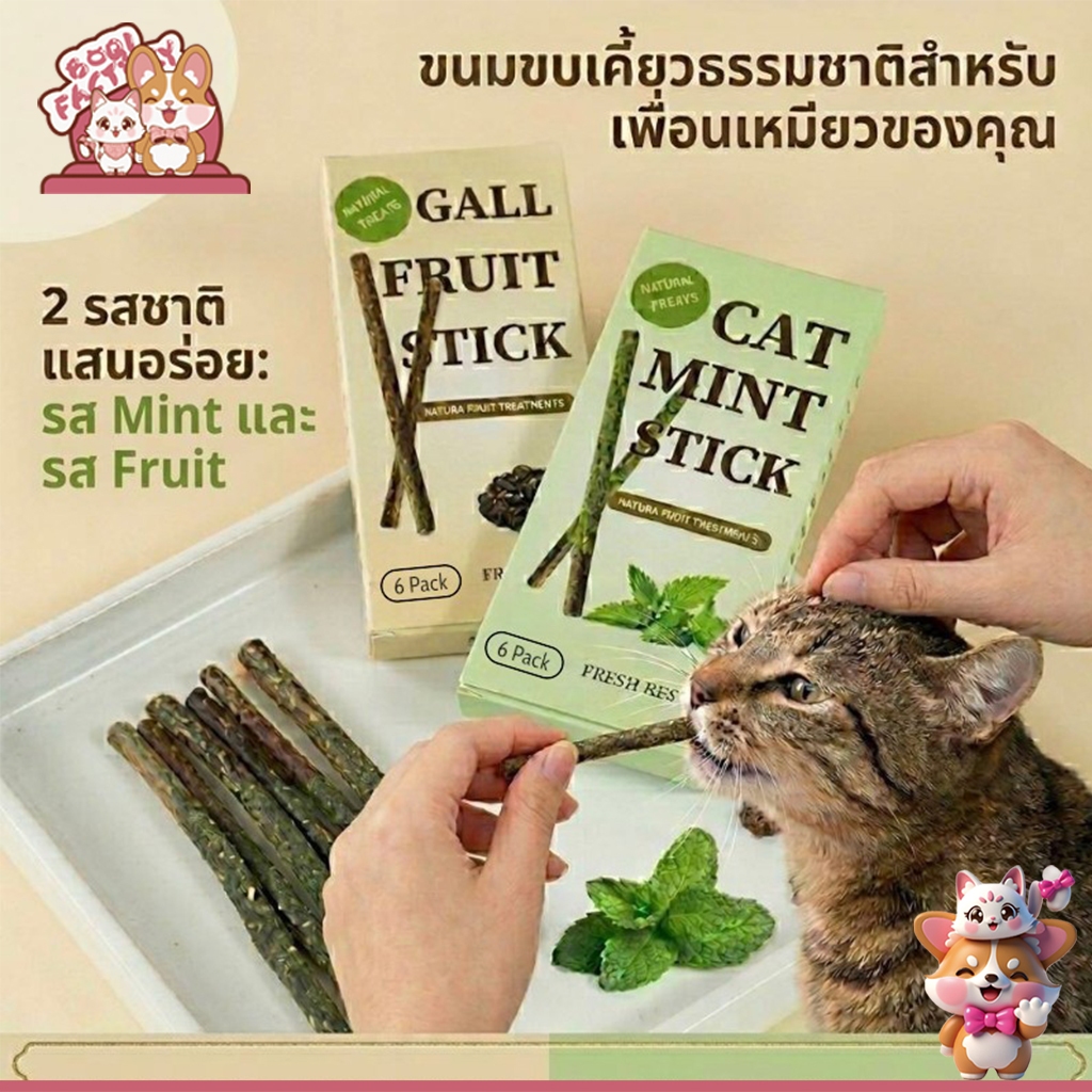 Boqi Factory ขนมแมว กัญชาแมว ไม้มาทาทาบิ ป๊อกกี้แมว เคลือบแคทนิป Cat Stick