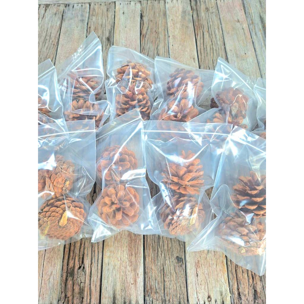 ลูกสน สำหรับสัตว์เลี้ยงเอาไว้แทะลับฟัน ราคาแพคละ 25 บาท