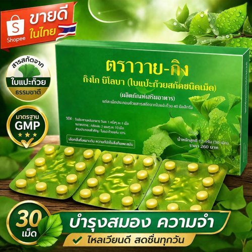 แปะก๊วยวายกิง Y-gink สารสกัดใบแปะก๊วย (1 กล่อง) หมดอายุยาว