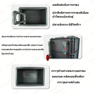 🐟 ตัวกรองตู้ปลา🐟 – ลดราคาจำกัดเวลา! ⏰ กล่องกรองน้ำทำให้น้ำสะอาด ปกป้องสุขภาพปลา มีหลายขนา ดให้เลือกTZR