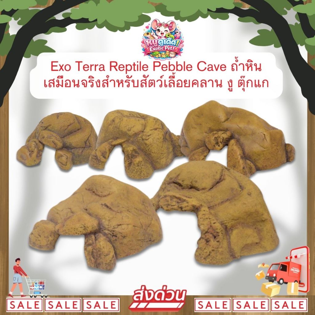 *ส่งไว* Exo Terra Reptile Pebble Cave ถ้ำหินเสมือนจริง ที่ซ่อนสัตว์ สำหรับสัตว์เลื้อยคลาน งู ตุ๊กแก