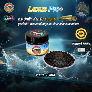 LEXUS อาหารเร่ง ครีบ/ฟอร์ม อันดับ 1