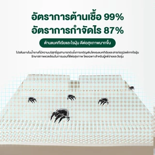 ที่นอนยางพารา ยางพาราฉีดขึ้นรูป topper ลดอาการปวดหลังได้อย่างตรงจุด นุ่มกำลังดี นอนฟิน เหมือนนอนโรงแรม ส่งฟรี