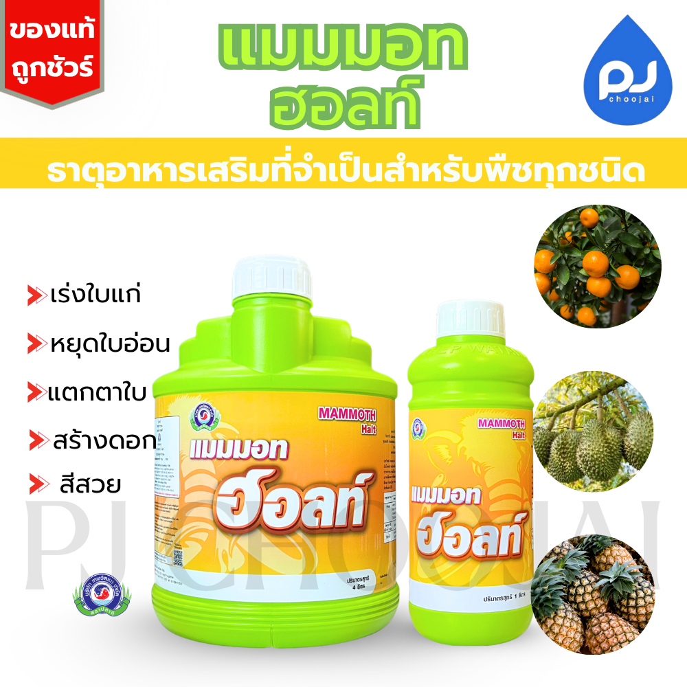 อาหารเสริมแมมมอท ฮอลท์ เทพวัฒนา