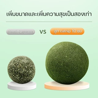 【FurBaby】 พร้อมส่ง COD ของเล่นแมวเลีย แคทนิปบอล ซุปเปอร์ใหญ่ 10cm กัญชาแมว ผ่อนคลาย อารมณ์ดี ก้อนใหญ่สะใจ ดี