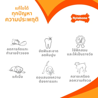 🇺🇸Made in USA🇺🇸 Nylabone Puppy Chew Teething Bone ของเล่นกระดูกแทะขัดฟันลูกสุนัข ลดอาการคันเหงือก รสไก่