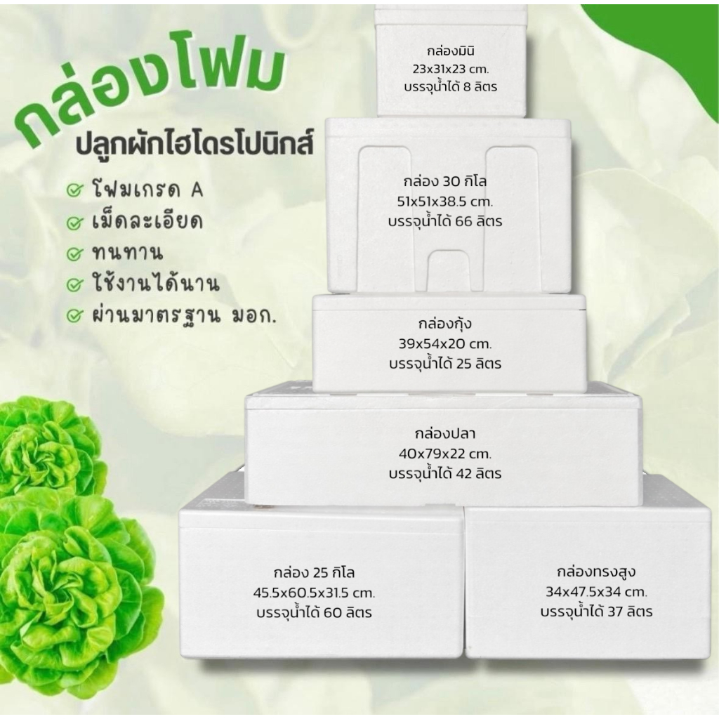 กล่องโฟมปลูกผักไฮโดรเกรดพิเศษ คุณภาพสูง มาตรฐาน มอก. พร้อมเจาะรู พร้อมถ้วยปลูก+ถุงคลุม - เกษตรกรรมยั่งยืน