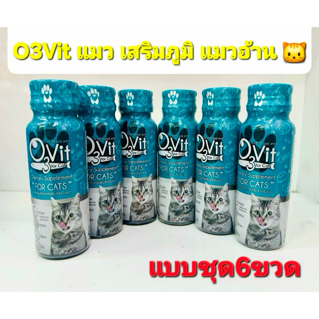 o3vitแมว วิตามินบํารุงแมว กินเก่ง อ้วน เสริมภูมิ50ml6ขวด