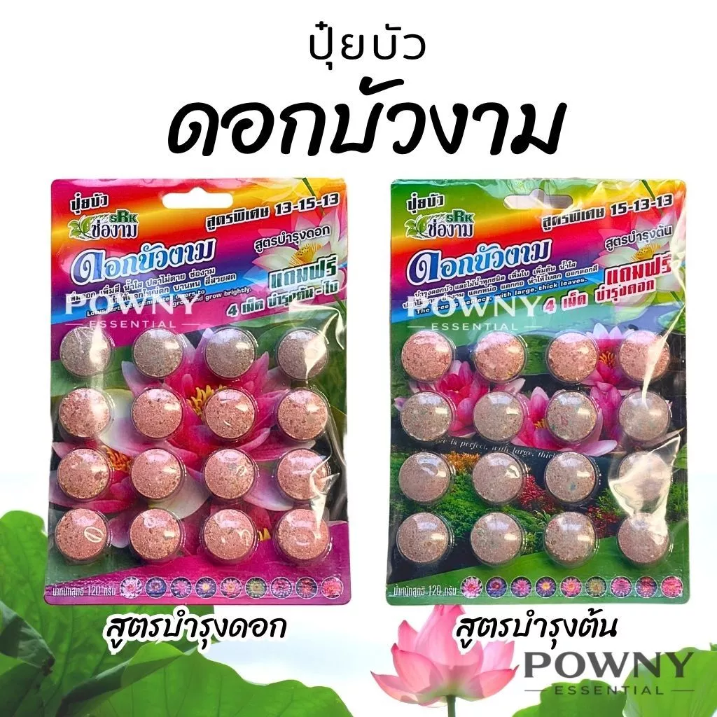 ปุ๋ยบัว ปุ๋ยบอน ปุ๋ยไม้น้ำ เร่งดอก เร่งโต เร่งใบ สีสวย น้ำไม่ขุ่น ปลาไม่ตาย ช่องาม Golden flower