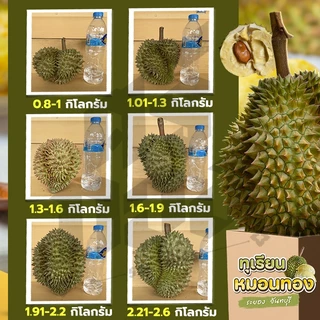 📌ทุเรียนหมอนทอง จันทบุรี ตัดแก่จากสวน เนื้อแน่นทุกพู พร้อมวิดีโอชั่งน้ำหนักจริงทุกลูก! ศรีทอง bearbakery