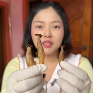 ถังใหญ่300g. เห็ดชิเมจิอบกรอบ มีให้เลือก5รสชาติ กรอบอร่อย เคี้ยวเพลิน ตุ๊กกี้ตัวแสบ