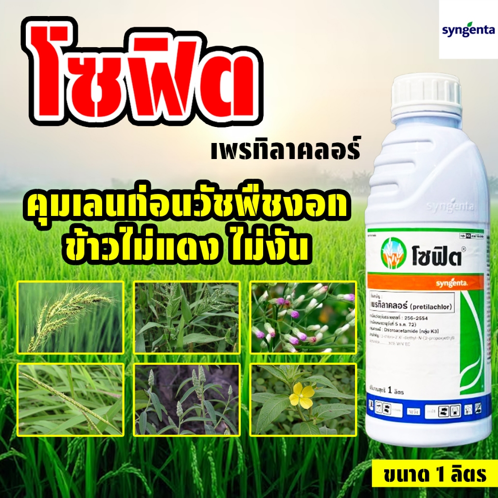 โซฟิต (เพรทิลาคลอร์) ขนาด 1 ลิตร สารกำจัดวัชพืช คุมฆ่าหญ้า กำจัดวัชพืชได้ทั้งใบแคบและใบกว้าง คุมเลน