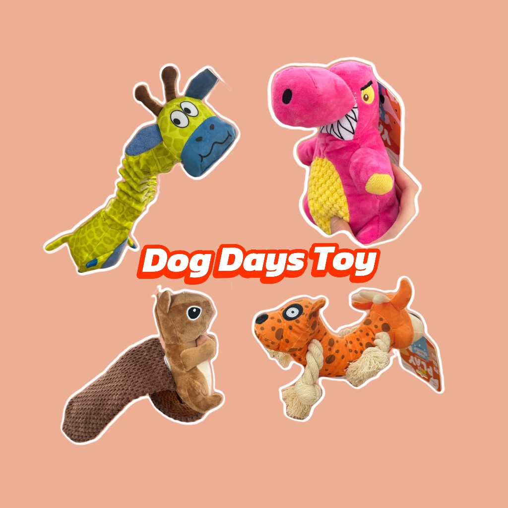 Dog Days Everyday Toy for chewing