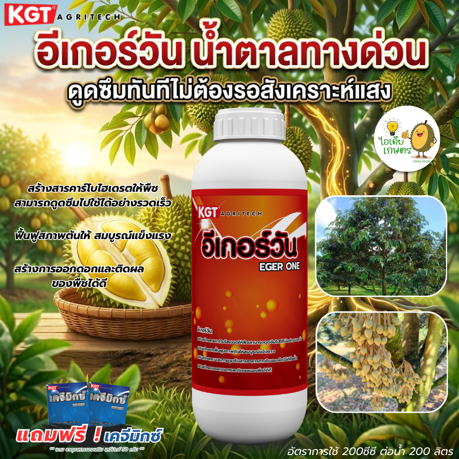 KGT_อีเกอร์วัน น้ำตาลทางด่วน ดูดซึมไวไม่ต้องสังเคราะห์แสง