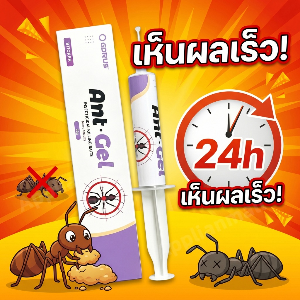 กำจัดมดด่วน! เจลกำจัดมดสูตรเข้มข้น ประสิทธิภาพสูง ฆ่ามดทุกชนิด เจลฆ่ามด ตายยกรังภายใน 24 ชม. เห็นผลจริง
