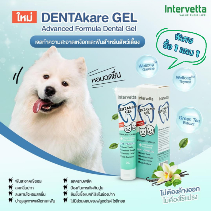 [โปร ซื้อ1แถม1] DENTAkare GEL เจลทำความสะอาดเหงือกและฟัน สำหรับสุนัขและแมวเพื่อลมหายใจหอมสดชื่น
