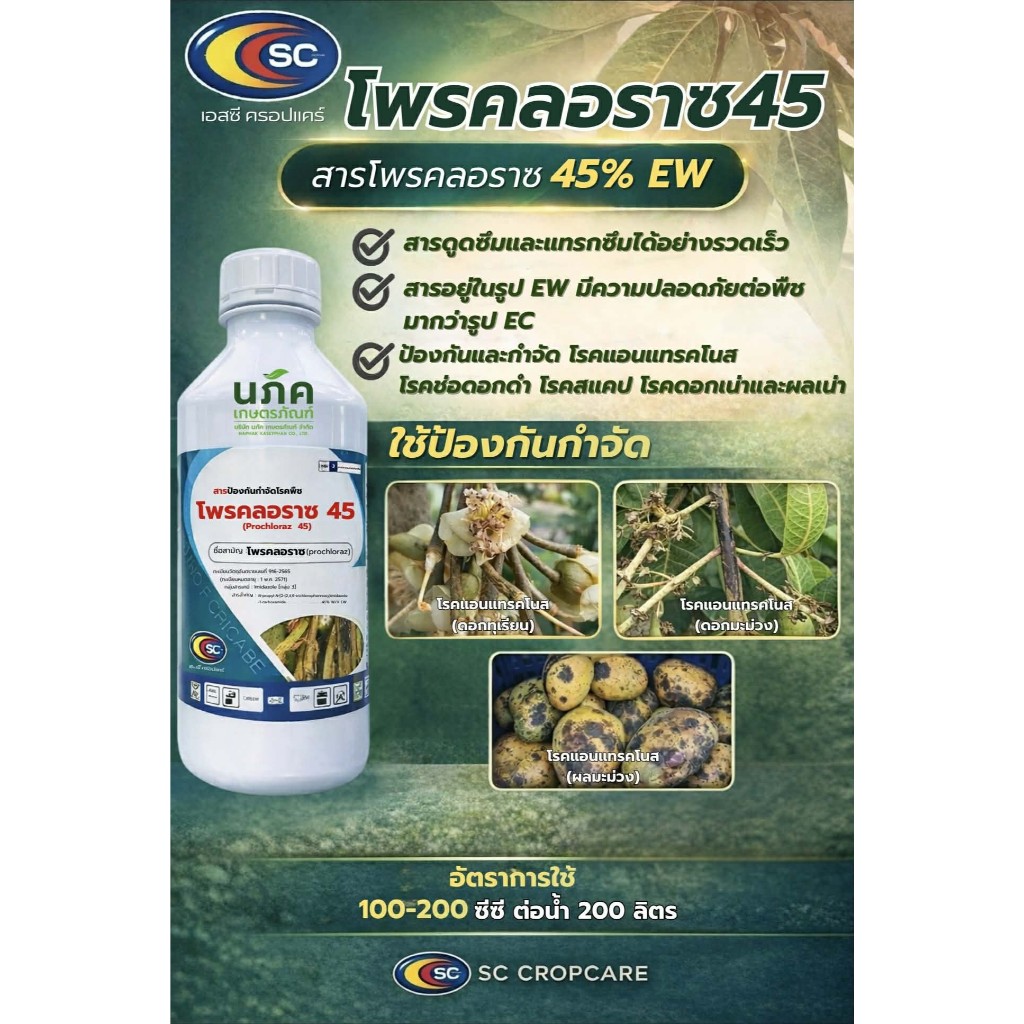 โพรคลอราซ 45%EW ขนาด 1 ลิตร ตราเอสซี สูตรเย็น ป้องกันโรคพืช แอนแทรคโนส ผลเน่า โพรคลอราช