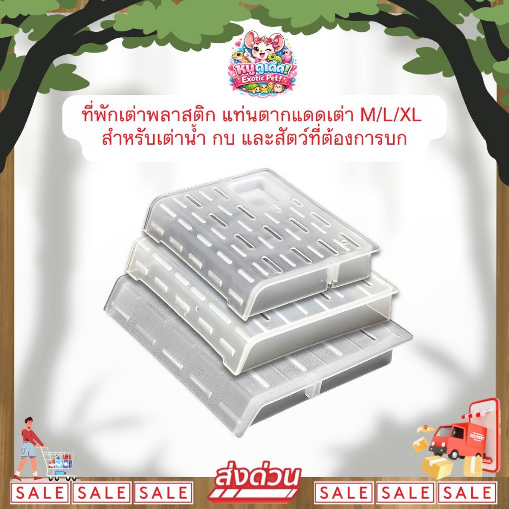 *ส่งไว* ที่พักเต่า แท่นตากแดดเต่า อุปกรณ์เลี้ยงเต่าญี่ปุ่น สำหรับเต่าน้ำ กบ และสัตว์ที่ต้องการบก