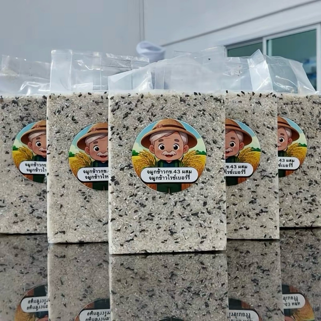 จมูกข้าวไรซ์เบอร์รี่ ผสม จมูกข้าวกล้อง กข43
