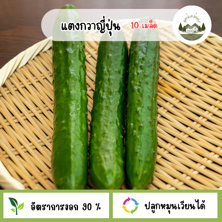 แตงกวาญี่ปุ่น 10 เมล็ด