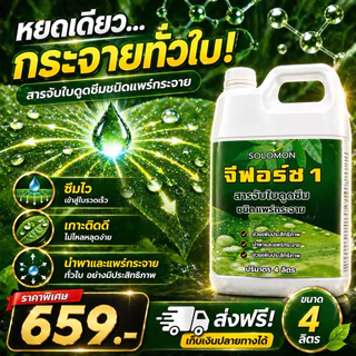 จีฟอร์ซวัน (แกลอน4ลิตร) สารจับใบ เร่งการดูดซึม จับใบ ไม่มีแอลกอฮอล์ ไม่ทำร้ายใบพืช ใช้กับไม้ดอกได้