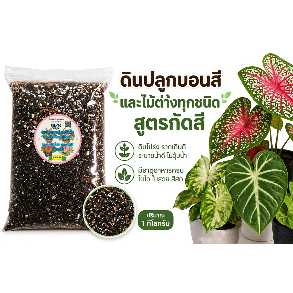 ดินปลูกบอนสี สูตรเร่งสีใบคมชัด แตกใบใหม่ไว ผสมใบมะขามหมัก + ไตรโคเดอร์ม่า ออร์แกนิค 100% สูตรโปร่ง ระบายน้ำดี พร้อมใช้